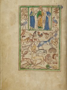 Adam die de Dieren Benoemt